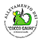 coccosauri.com